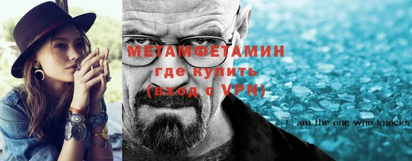 индика Няндома