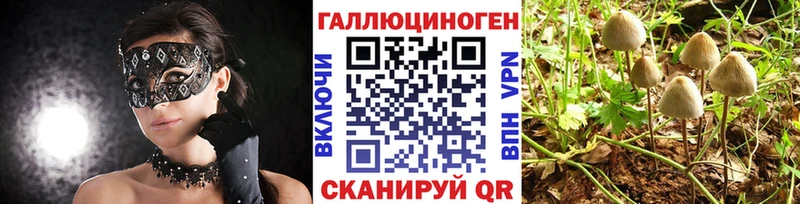 Псилоцибиновые грибы Psilocybine cubensis  купить наркоту  Могоча 
