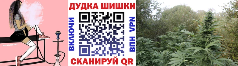 Канабис MAZAR  кракен зеркало  Могоча 